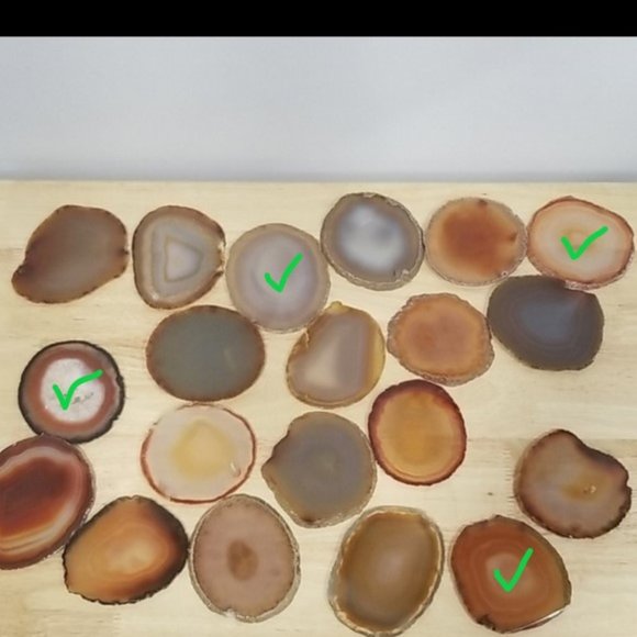 Meet your Posher, Violetta - Picture 2 of 2